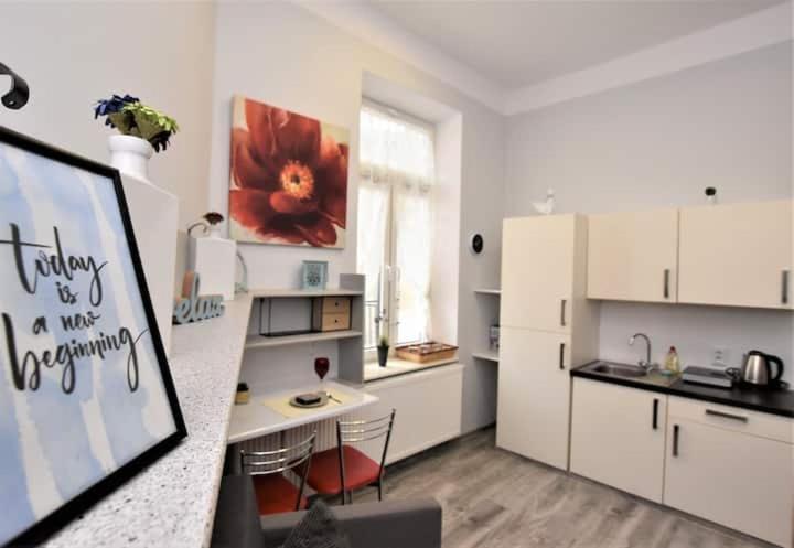 Studio W Sercu Miasta Przemyśl Dış mekan fotoğraf