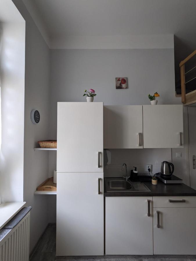 Studio W Sercu Miasta Przemyśl Dış mekan fotoğraf